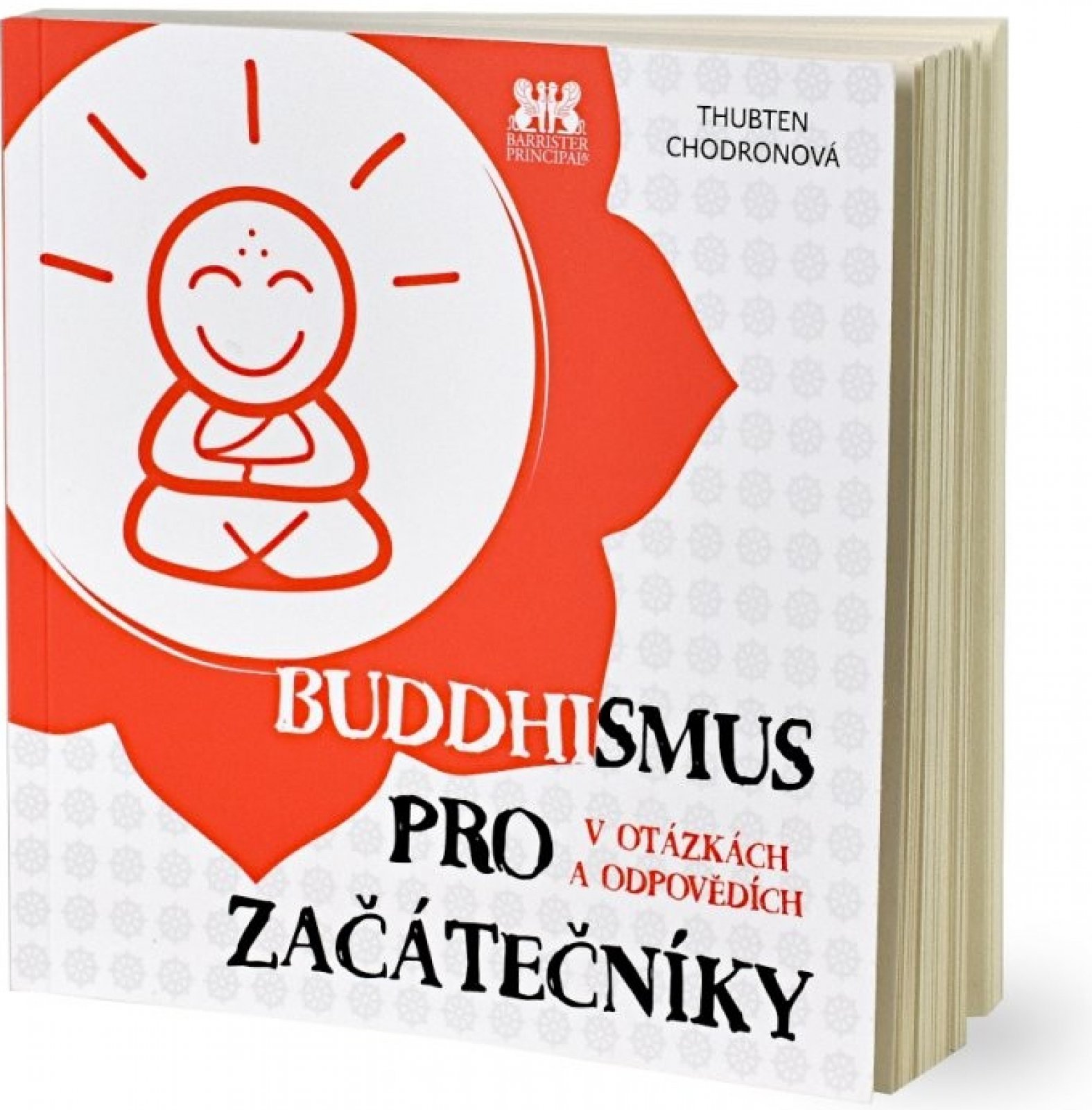 Buddhismus pro začátečníky