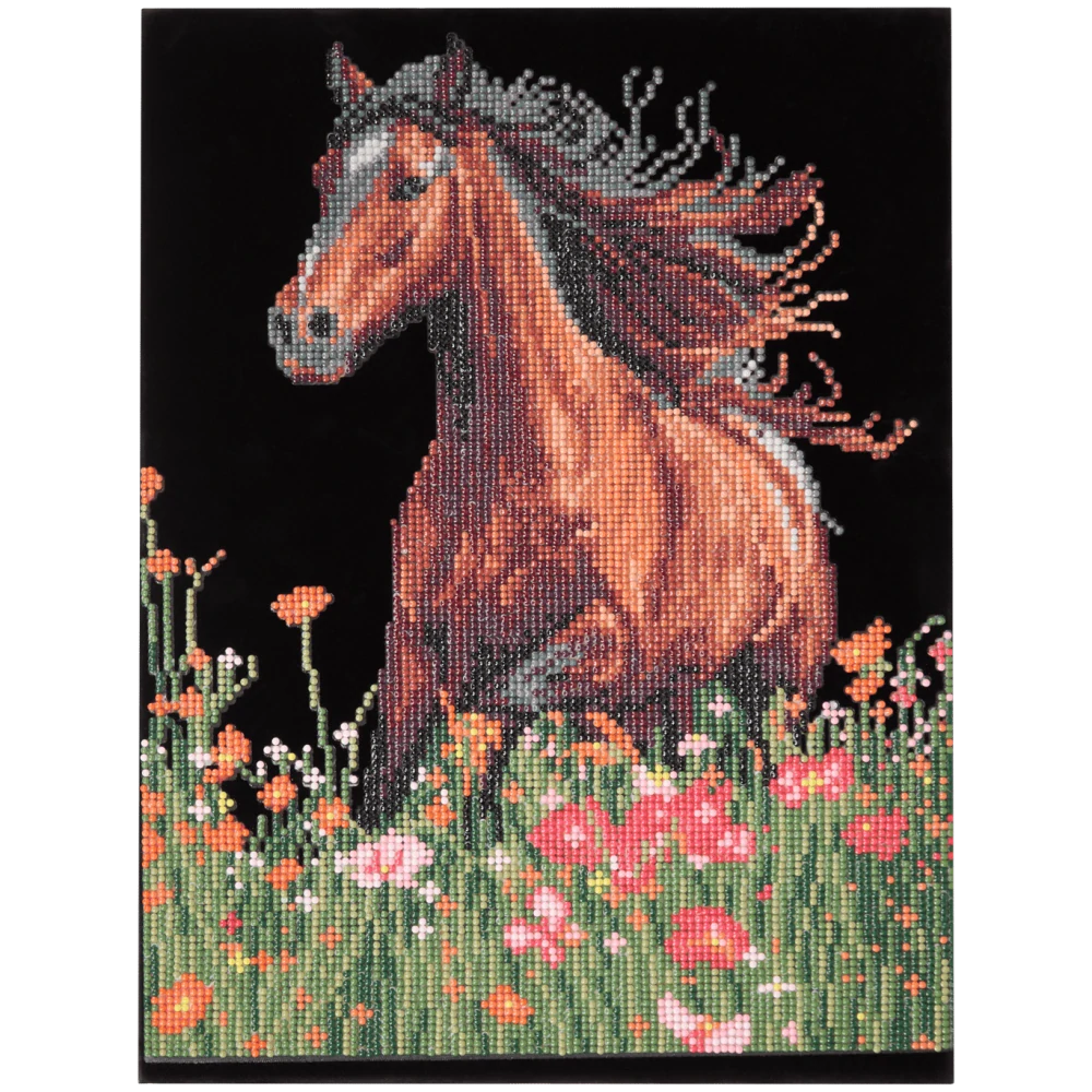 Diamantové malování Avec