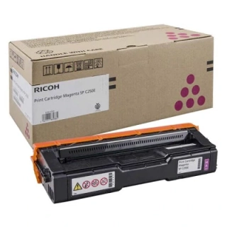 Ricoh 407545 originální