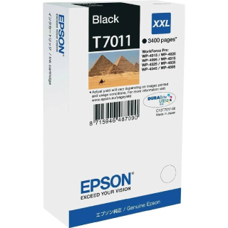 Epson T7011 originální